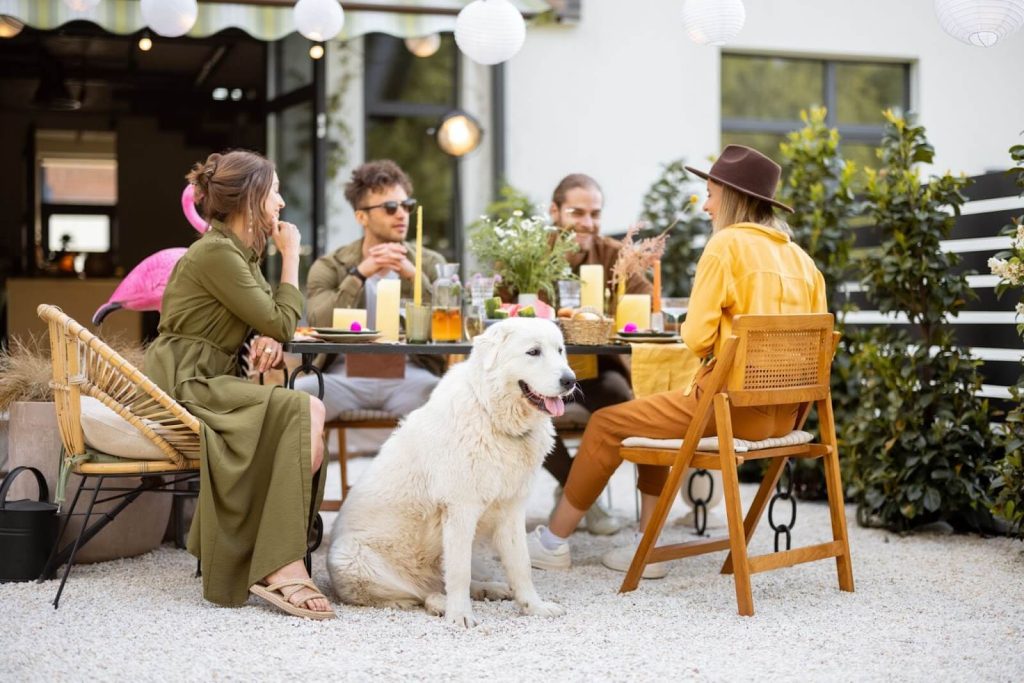 A dog enjoying  time with his owner on a leash-friendly patio at a pet-friendly restaurant.